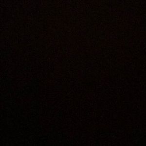 Meet your Posher, Elaine